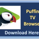 Featured-Image_Puffin-TV.jpg